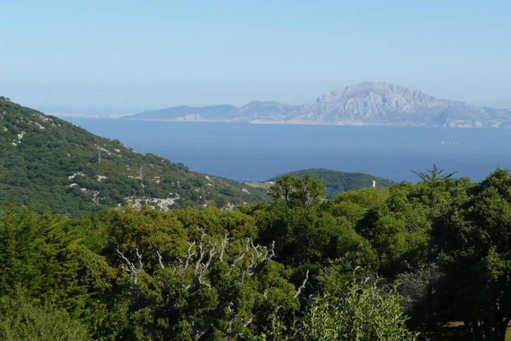 Villa Tarifa Dış mekan fotoğraf
